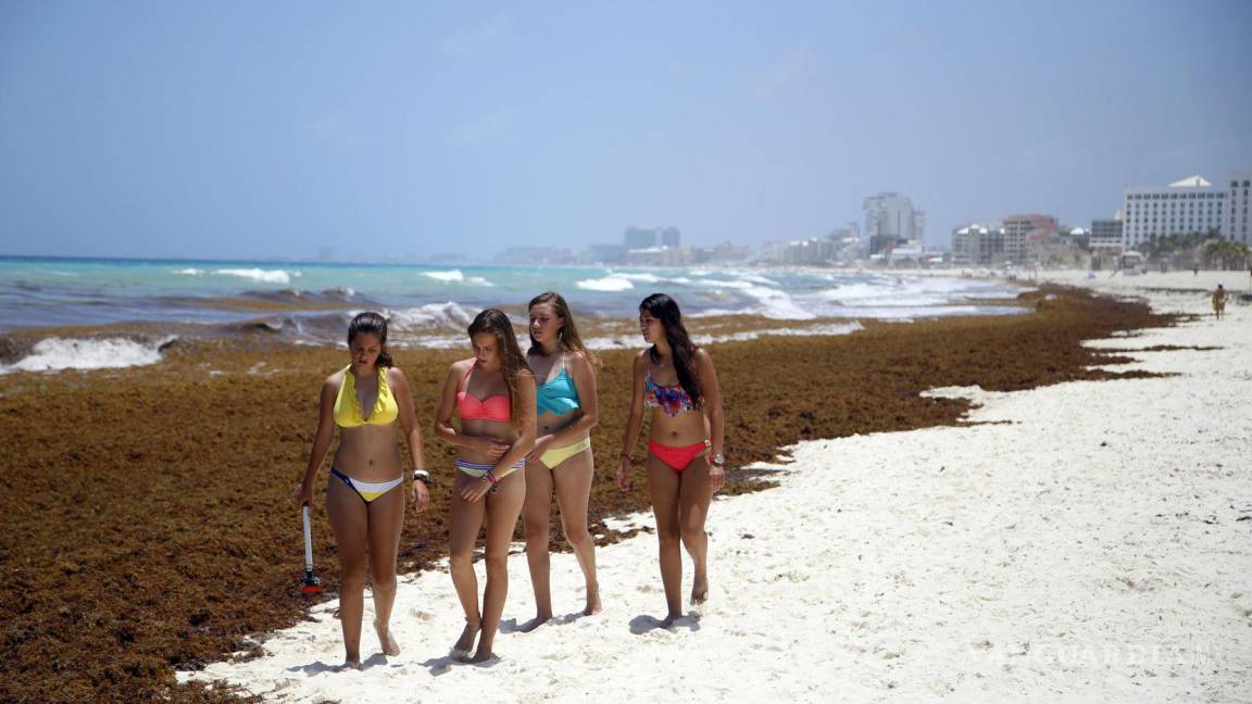 Advierten arribo de ‘exceso de sargazo’ en playas de Quintana Roo