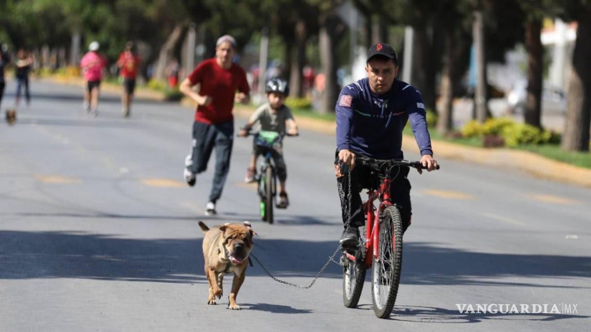 $!El paseo familiar tendrá su horario habitual de 7:00 a 12:00 horas, pero se desarrollará en los carriles con sentido de sur a norte.