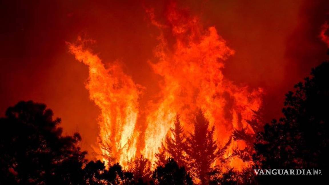 ¡Alerta Coahuila! 618 incendios forestales fueron reportados entre 2015 y 2022
