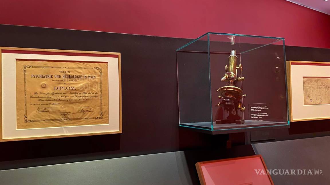 $!Diploma honorífico de la Sociedad de Psicólogos de Viena a Santiago Ramón y Cajal y su microscopio en la exposición. EFE/Marina Sera