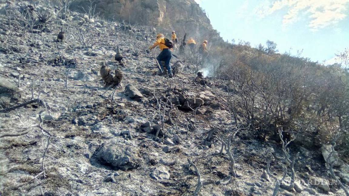 $!Así quedó la Sierra de Zapalinamé tras devastador incendio