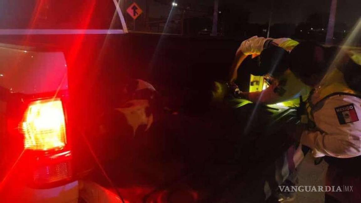 $!Elementos de Tránsito Municipal acudieron al auxilio para recogerlos del lugar y resguardarlos