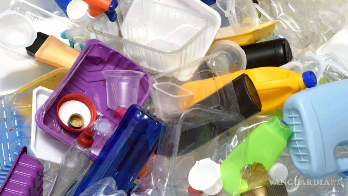 ONG's dicen &quot;no&quot; al acuerdo que propone Monreal, sobre plásticos y medio ambiente