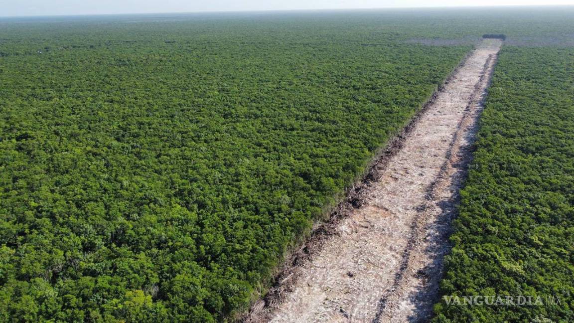 $!Tramo 5 del Tren Maya.