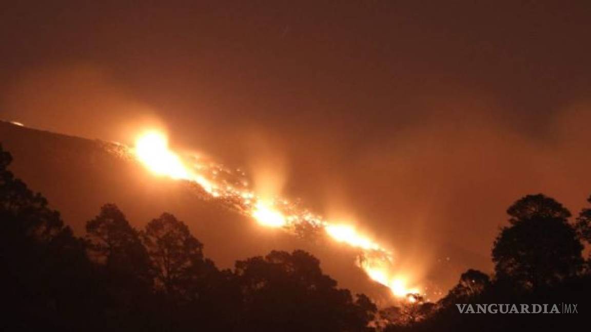 Incendio en la sierra Tarahumara consume área de tala ilegal