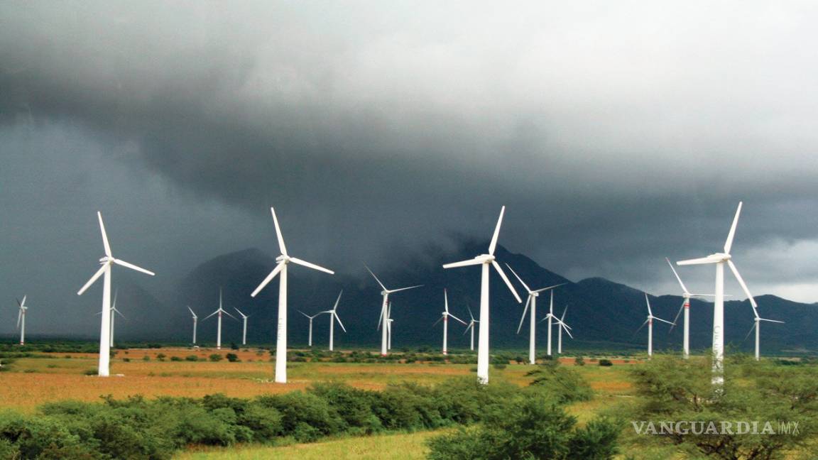 Greenpeace y Cemda logran suspensión definitiva contra acuerdo sobre generación de energía eléctrica