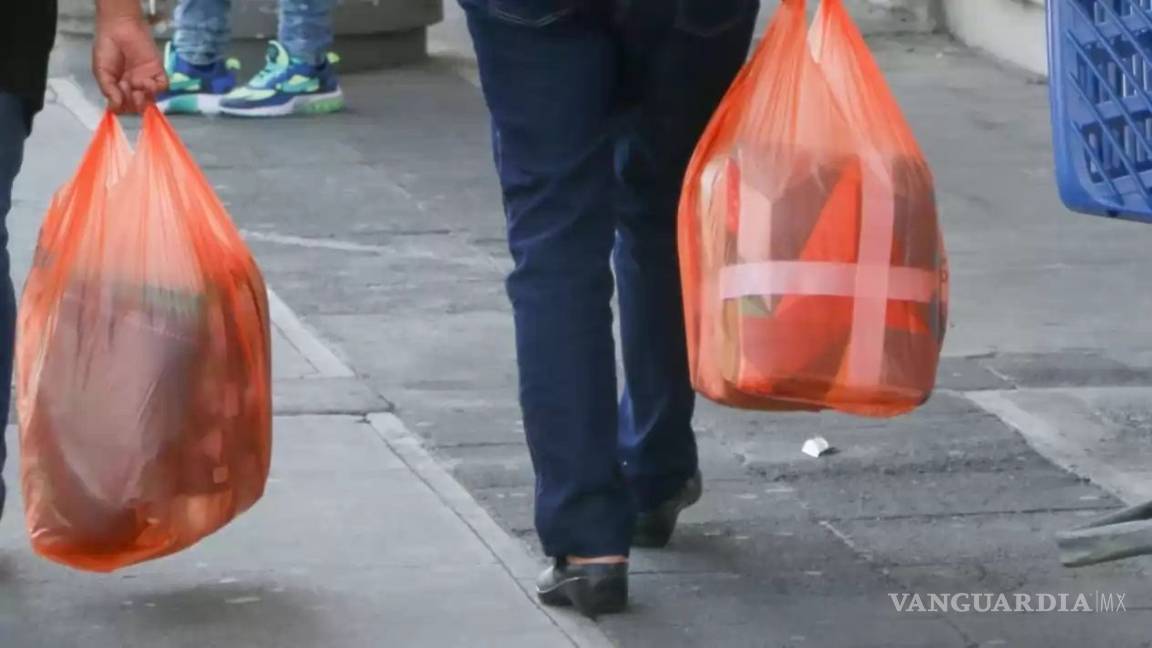 Hasta septiembre castigarán por despachar en bolsa de plástico en Coahuila