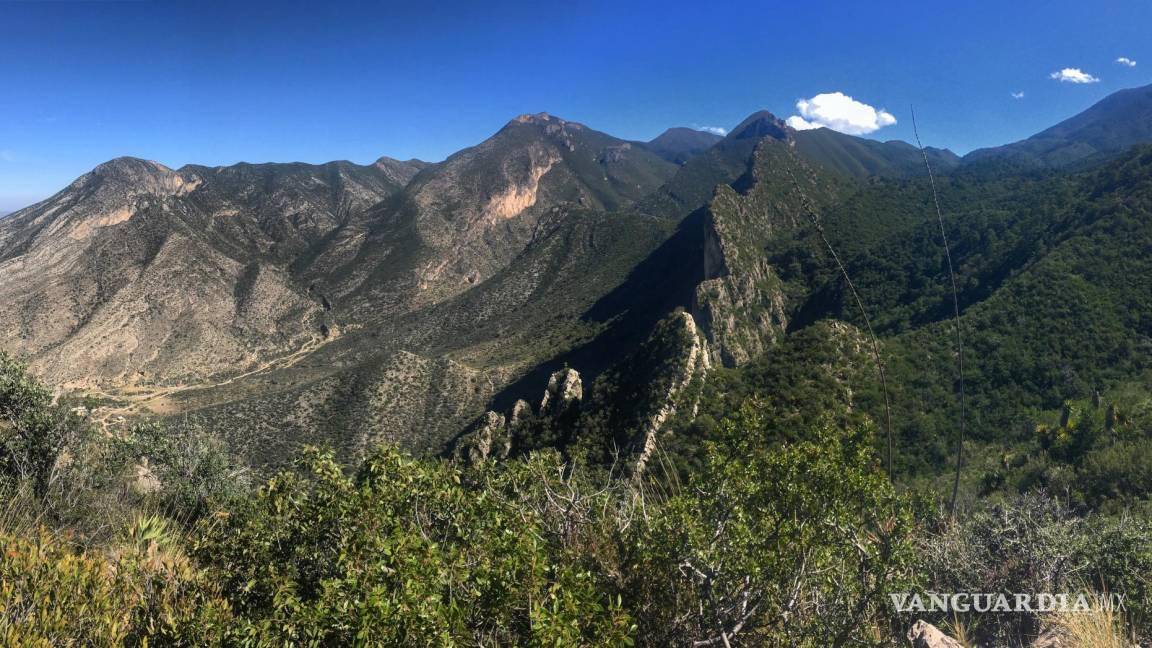 Donan usuarios de Agsal 3 mdp para conservar Sierra de Zapalinamé