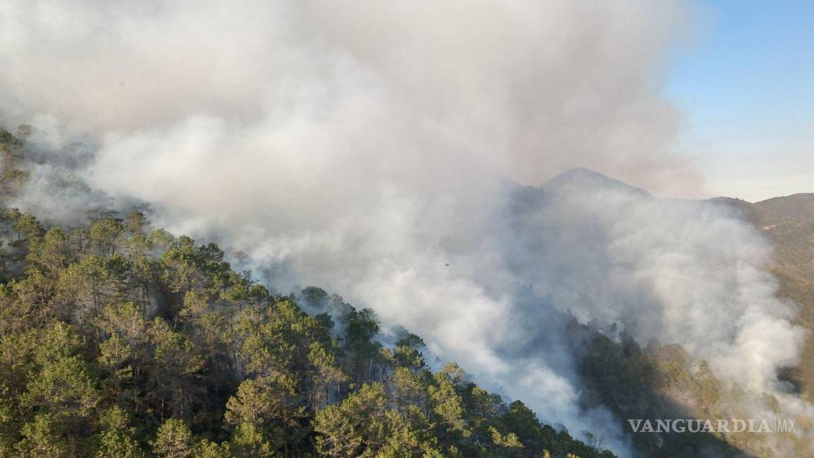Se buscará más apoyo aéreo para incendio en el Cañón de San Lorenzo en Coahuila