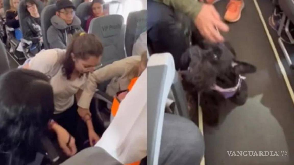 $!Aspectos de como la usuaria fue bajada del avión junto a su perrito Schnauzer.