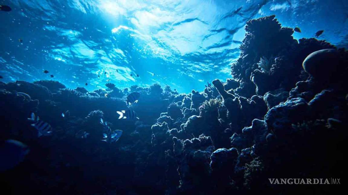 ¿Por qué es más fácil explorar el espacio que el fondo del mar?... cuáles son los peligros y qué hay en las profundidades
