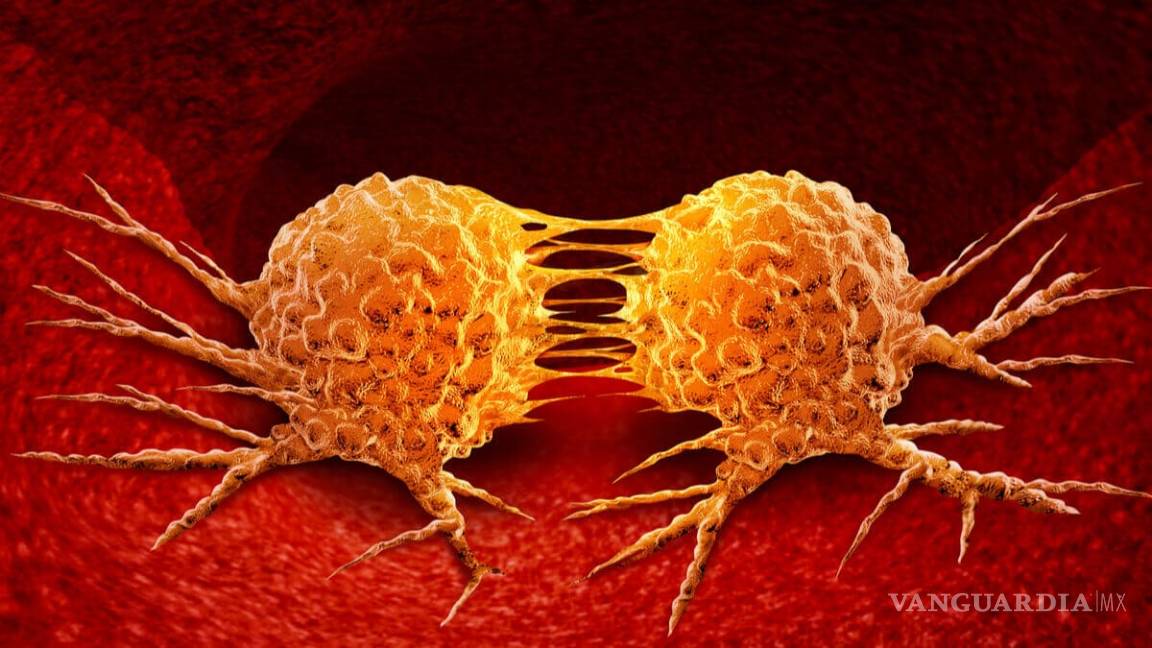 Crean células inmunes que actúan contra el cáncer metastásico