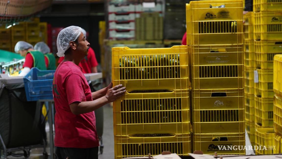 $!Los trabajos críticos son aquellos en donde se trabajan menos de 35 horas a la semana por decisiones ajenas, así como a las que trabajan más de ese tiempo con ingresos inferiores al salario mínimo.