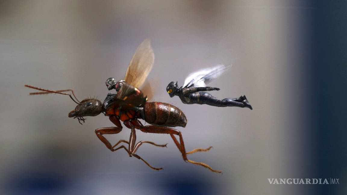 Encoger y estirar, cinco películas que nos recuerdan a ‘Ant-Man and The Wasp’