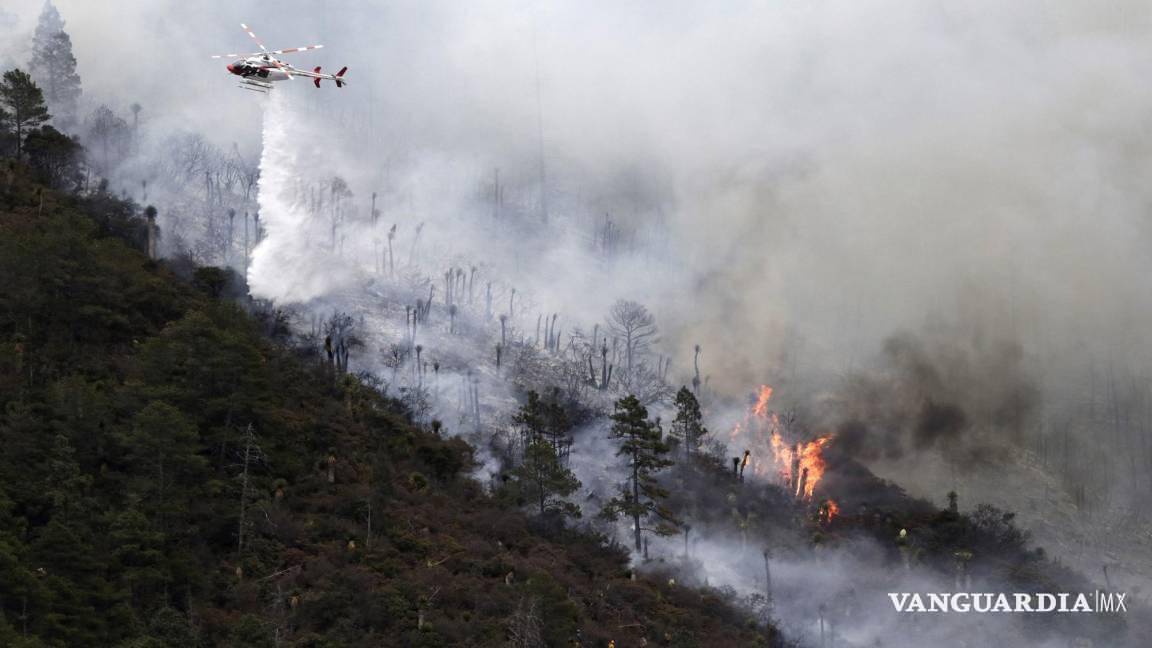 Advierten alto riesgo de incendios forestales en 10 municipios de Coahuila