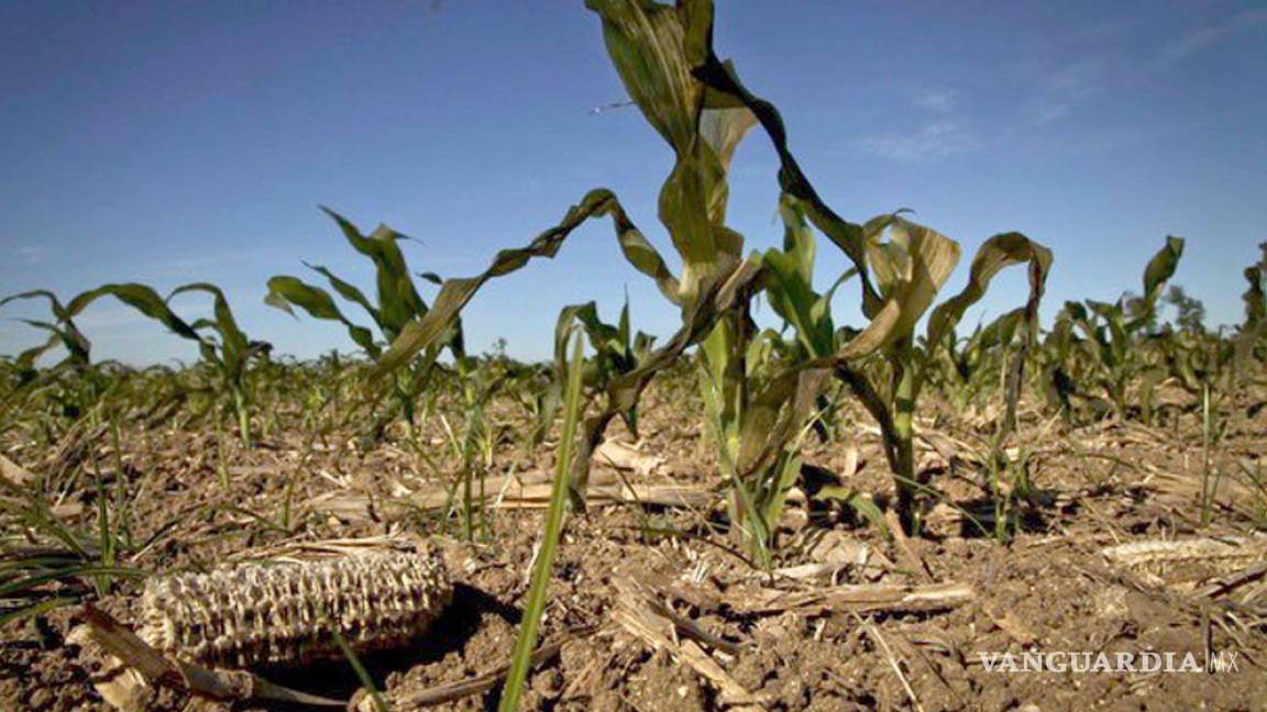 Campesinos en Coahuila buscan reestablecer el seguro agropecuario federal ante las amenazas climáticas