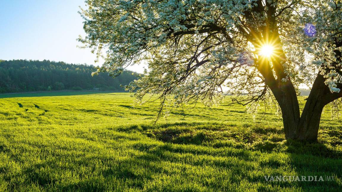 $!Equinoccio de primavera 2026: ¿Cómo ver el cambio de estación y qué significa en México?