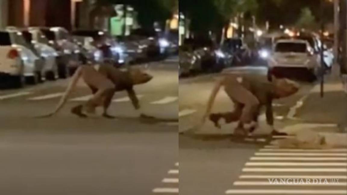 Hombre 'rata' aterroriza las calles de Nueva York (video)