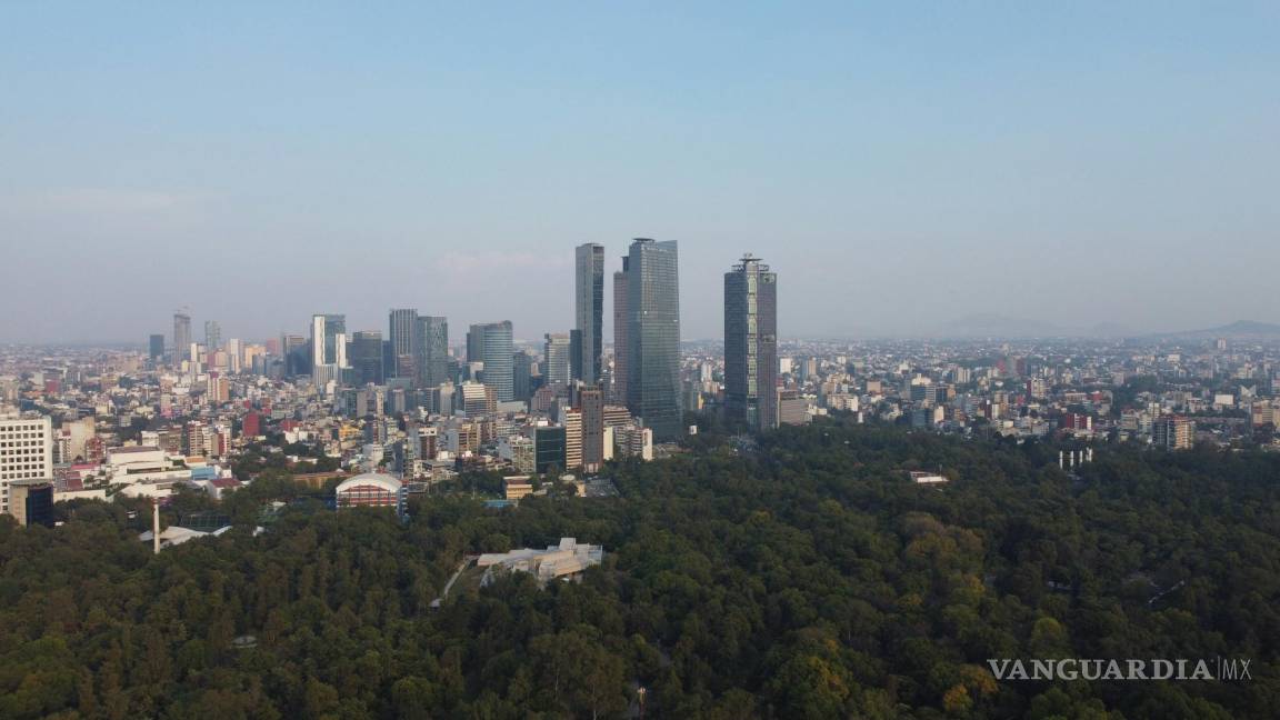 $!esde una fiesta dedicada al cerdo a la leña hasta un mercado con productos orgánicos cerca del lago de Chapultepec.