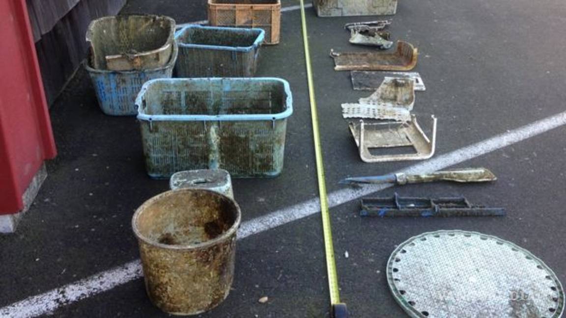 $!Tsunami en Japón arrastró especies marinas a costas de EU