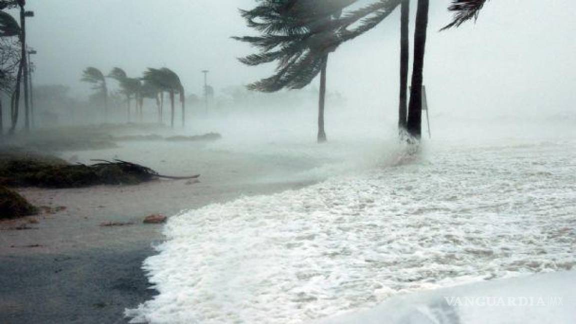 ¡Prepárese!... Tormenta ‘Agatha’ podría convertirse en huracán ‘Alex’; golpeará con lluvias torrenciales al sureste de México