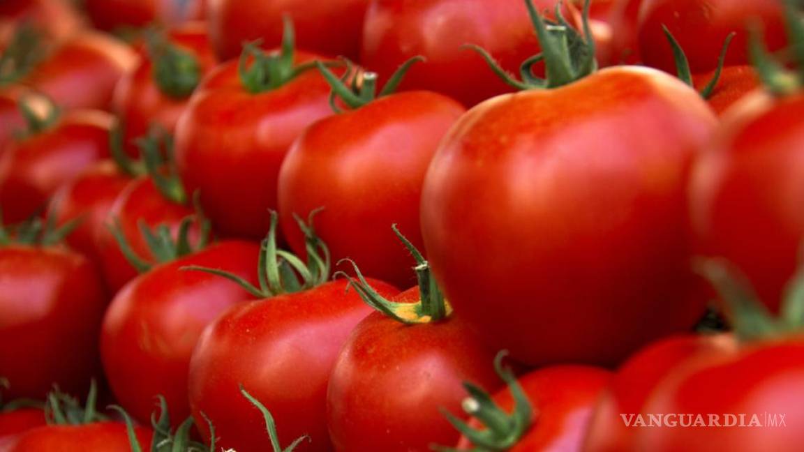 Tomateros de México piden al gobierno 'medidas espejo' para EU por imposición de aranceles