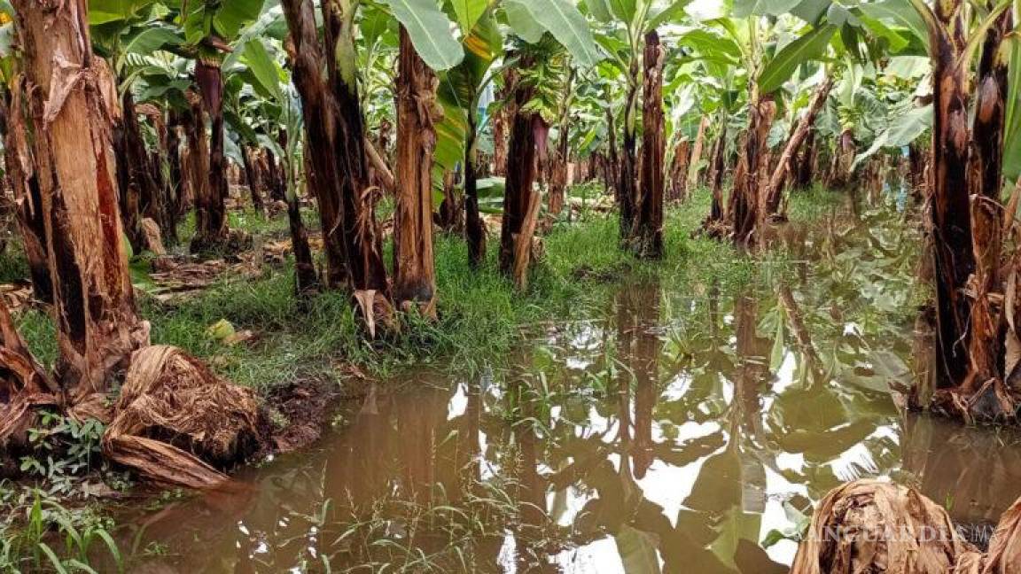 Agricultores de Chiapas exigen declarar desastre por lluvias