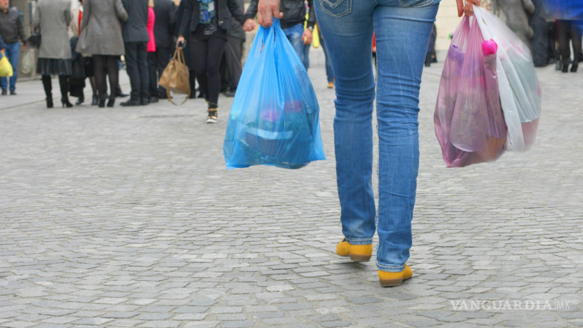 prohibición de utilizar bolsas de plástico desechable, casi lista