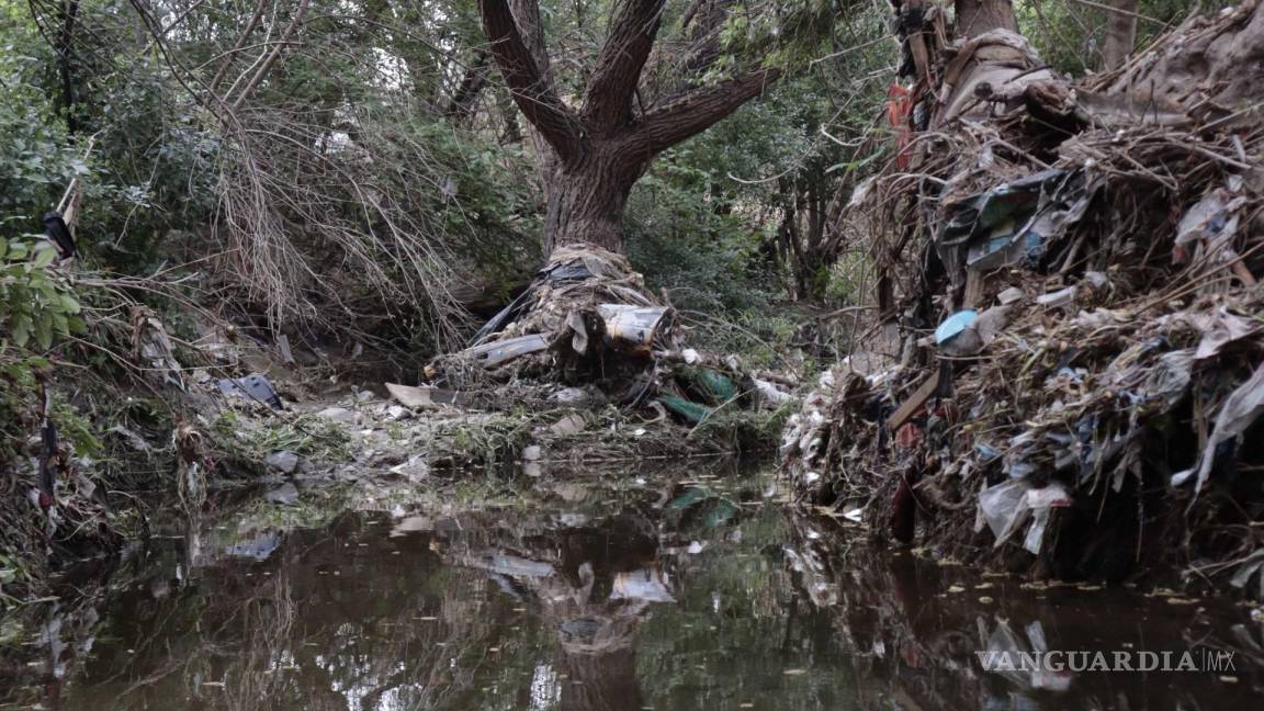 Acumulación de basura en arroyos afecta agua de Saltillo