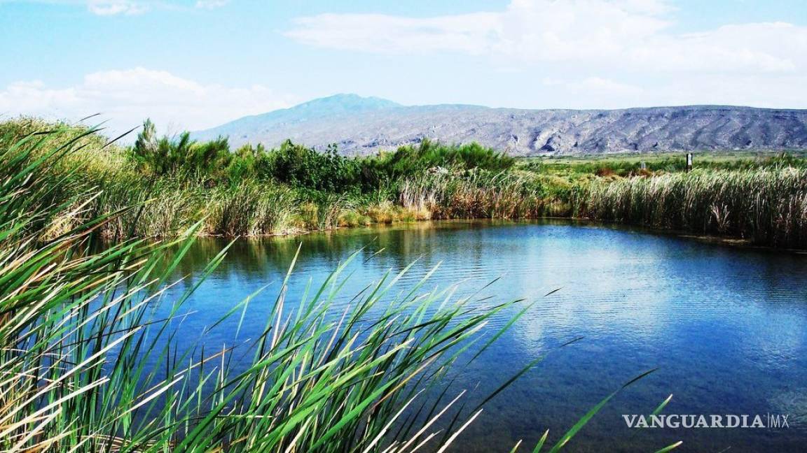 Sobreexplotación de agua en Cuatro Ciénegas acabaría con humedales