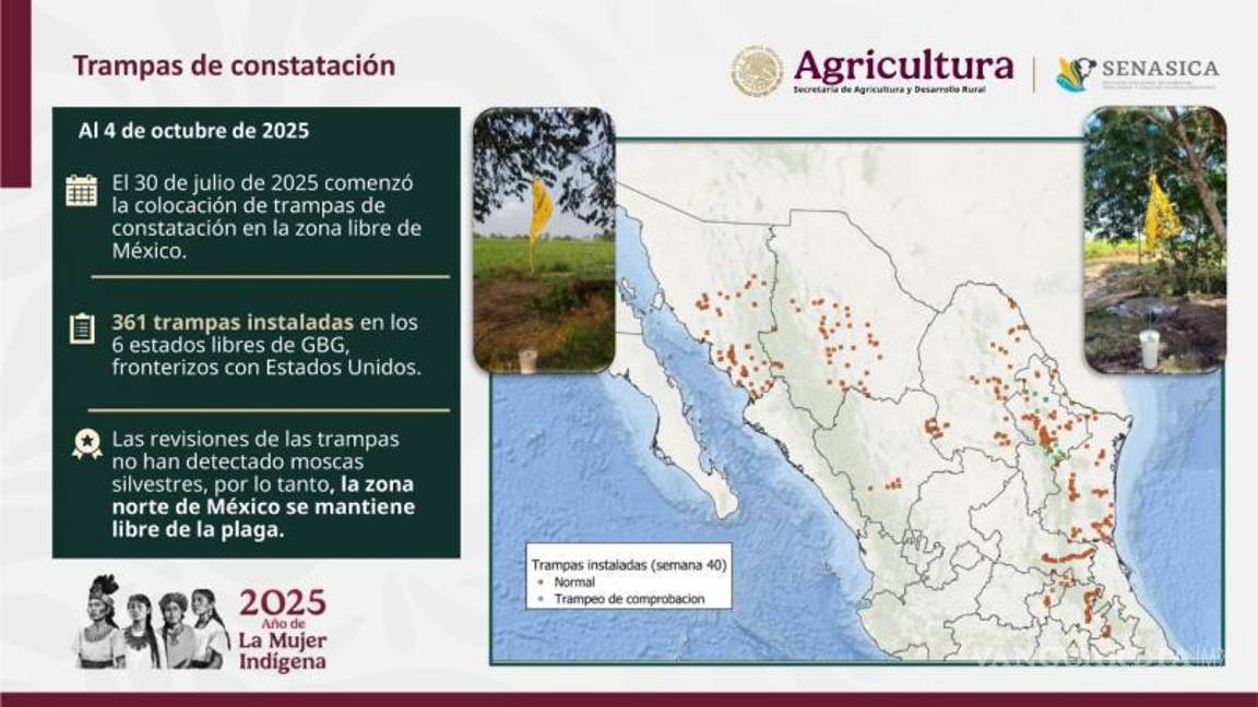 $!Ganaderos reciben apoyo y orientación sobre prevención y diagnóstico del gusano barrenador de ganado, contribuyendo a la recuperación oportuna de los animales afectados.