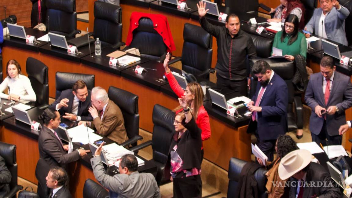 Senado aprueba Ley de Ingresos 2020 que da revés a autos ‘chocolate’; regresa a Diputados