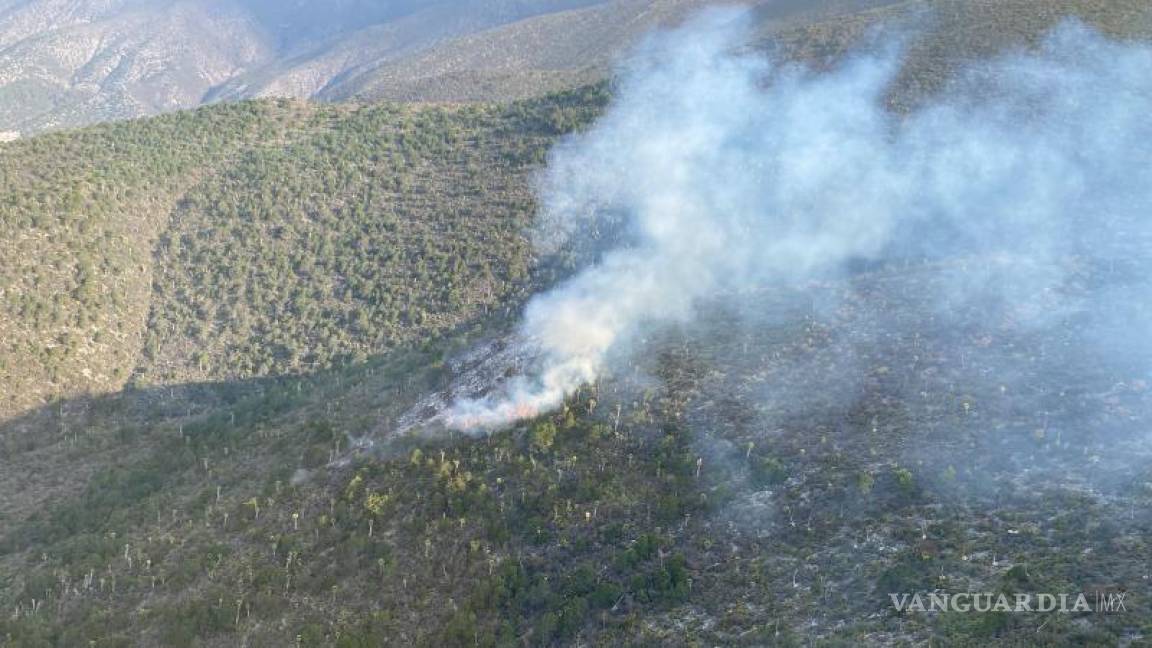 Incendio forestal consume sierra de Galeana, en Nuevo León