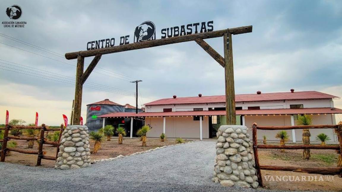 $!La “Primera subasta de sementales de registro” busca fortalecer la genética del hato ganadero regional y profesionalizar las prácticas de crianza en el norte de Coahuila.