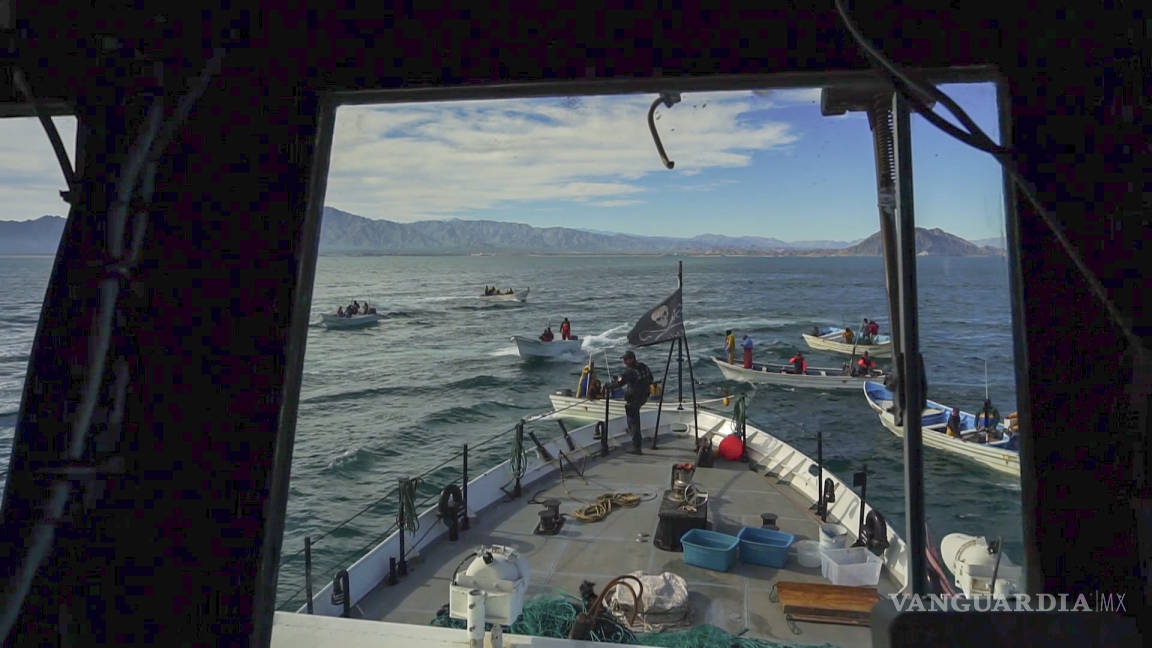 Pescadores rodean y atacan a la embarcación Farley Mowat del grupo ambientalista Sea Shepherd en México
