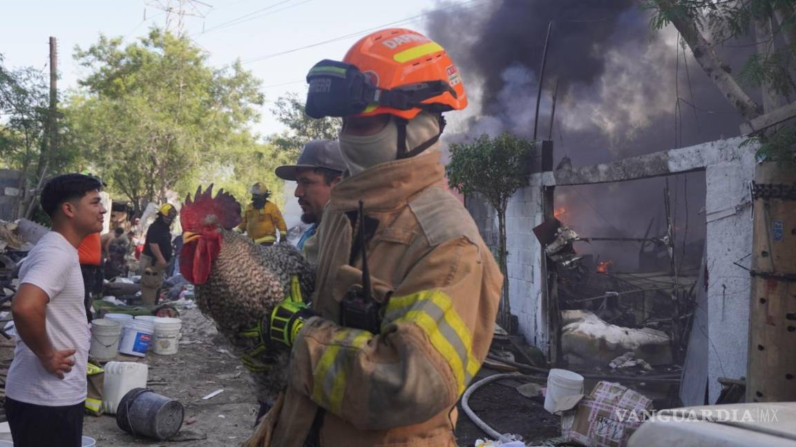 Reporta Protección Civil más de 500 incendios durante el fin de semana en Nuevo León