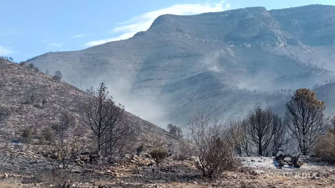 Continúa incendio en sierra de Parras; van 350 has. afectadas