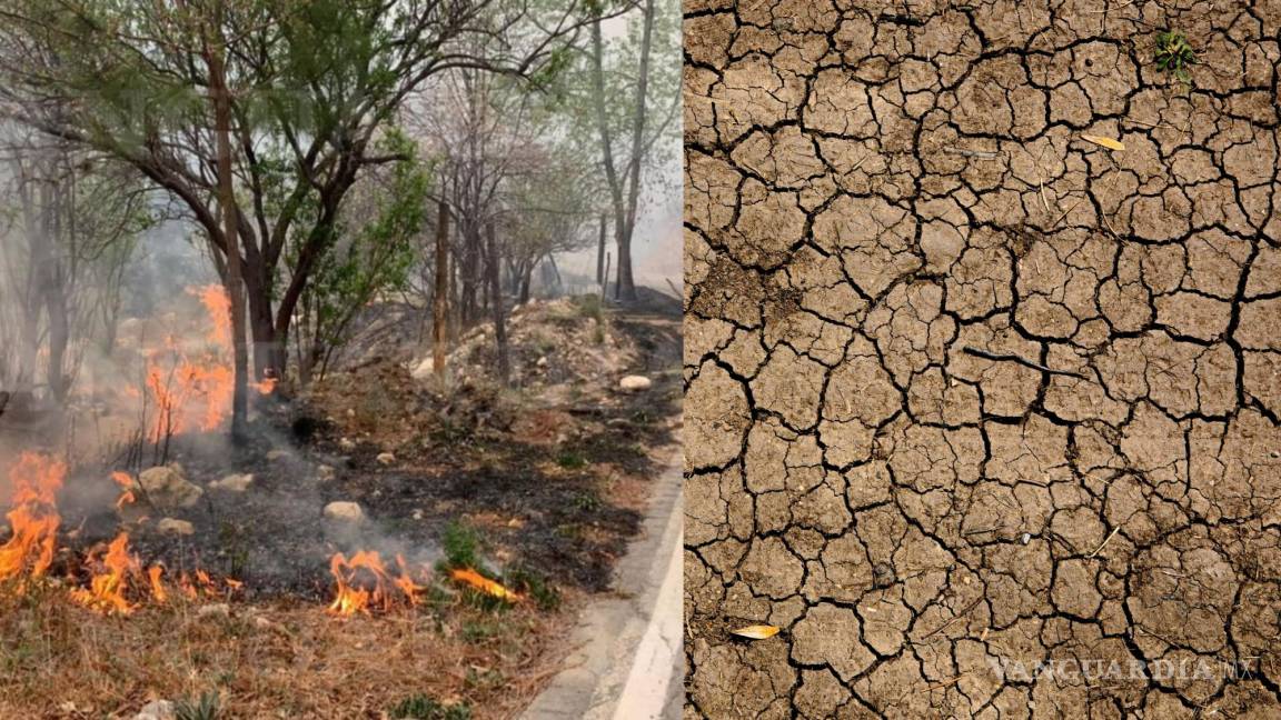Coahuila sufre uno de los cinco Puntos Críticos que alertan científicos sobre el Calentamiento Global