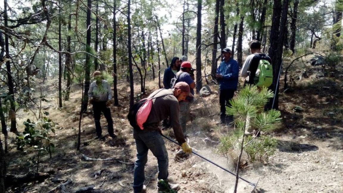 $!Incendio consume 5 mil hectáreas en la sierra Tarahumara