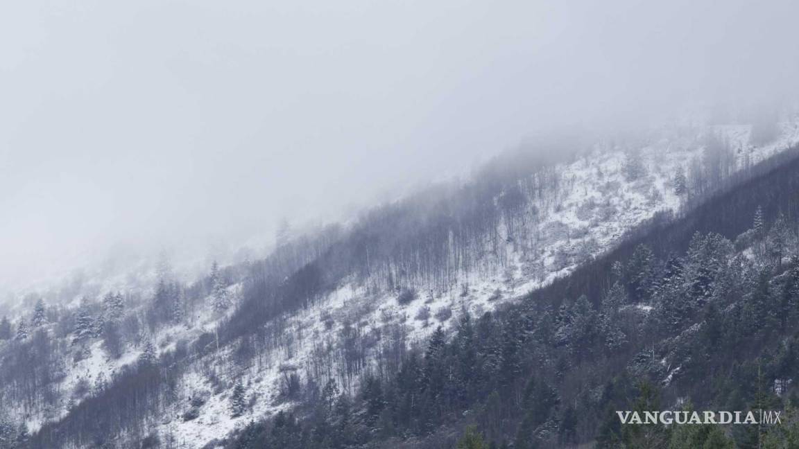 ¡Abríguese!... Frente frío 29 golpeará a Coahuila; prevén caída de aguanieve y bajas temperaturas