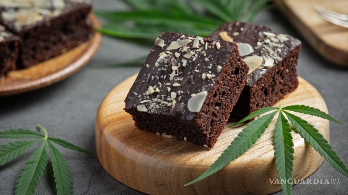 ¿Conoces las sanciones por la venta de brownies con marihuana? Aquí te lo decimos