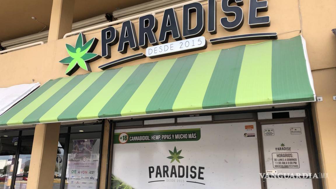 Saltillo: consumidores de mariguana ven más seguro comprarla en Paradise... aunque sale del presupuesto