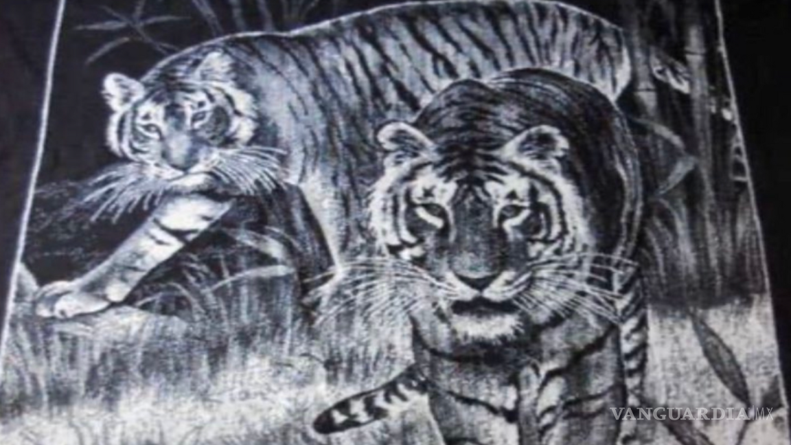 “Cobijas de Tigre”: La historia detrás del símbolo del invierno mexicano