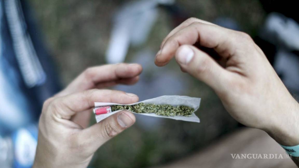 ‘Batea’ la Cofepris 58 peticiones para cultivar mariguana; hay dos procesos de amparo en Coahuila