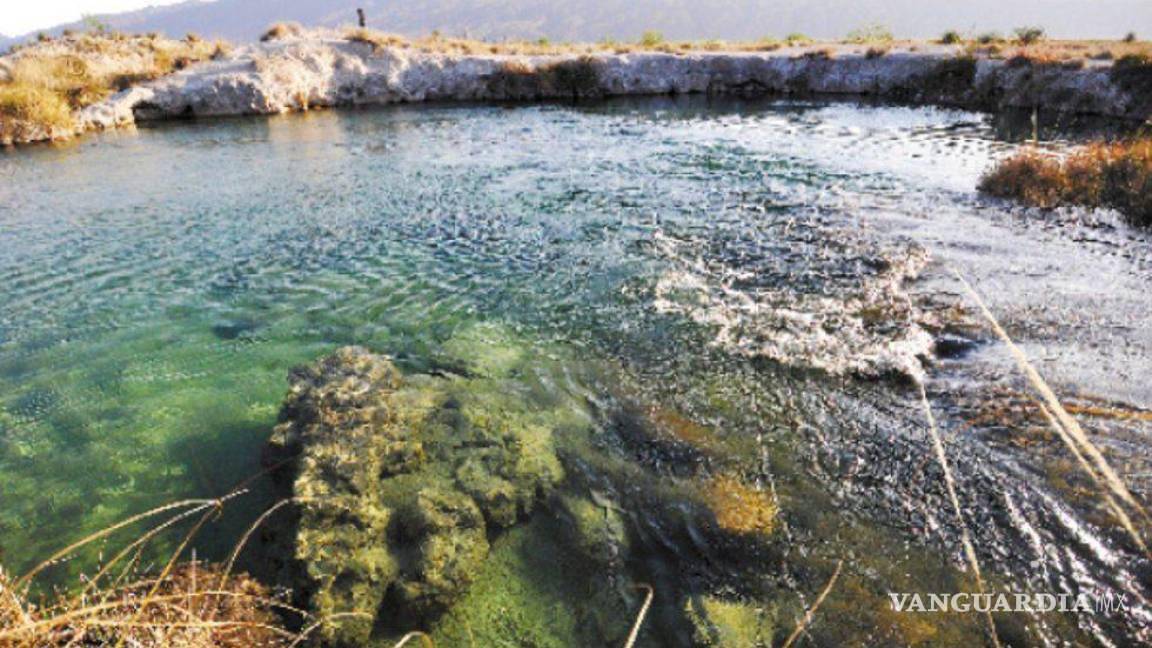 $!Los acuíferos en Cuatrociénegas presentan déficit, de acuerdo con Conagua.