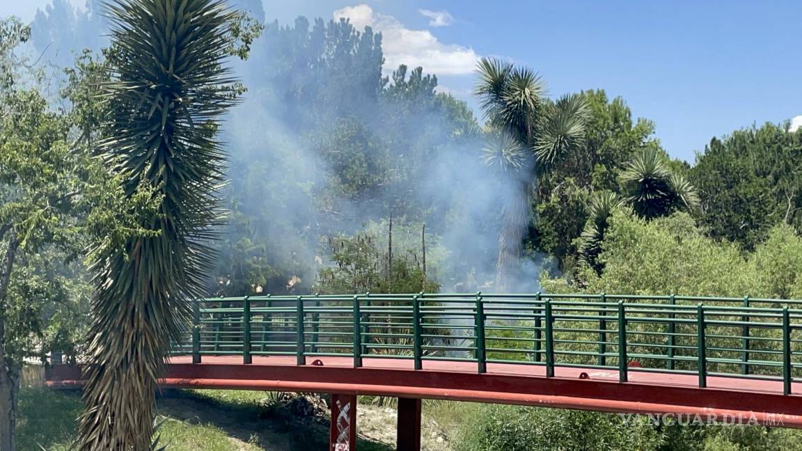 Se desata incendio en el Bosque Urbano de Saltillo