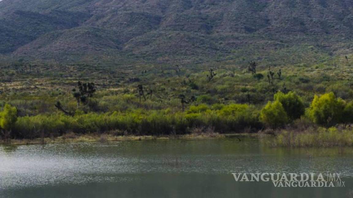 $!Este domingo la asociación civil Amigos de Palo Blanco recabará firmas para evitar la demolición de la presa ubicada en Ramos Arizpe.