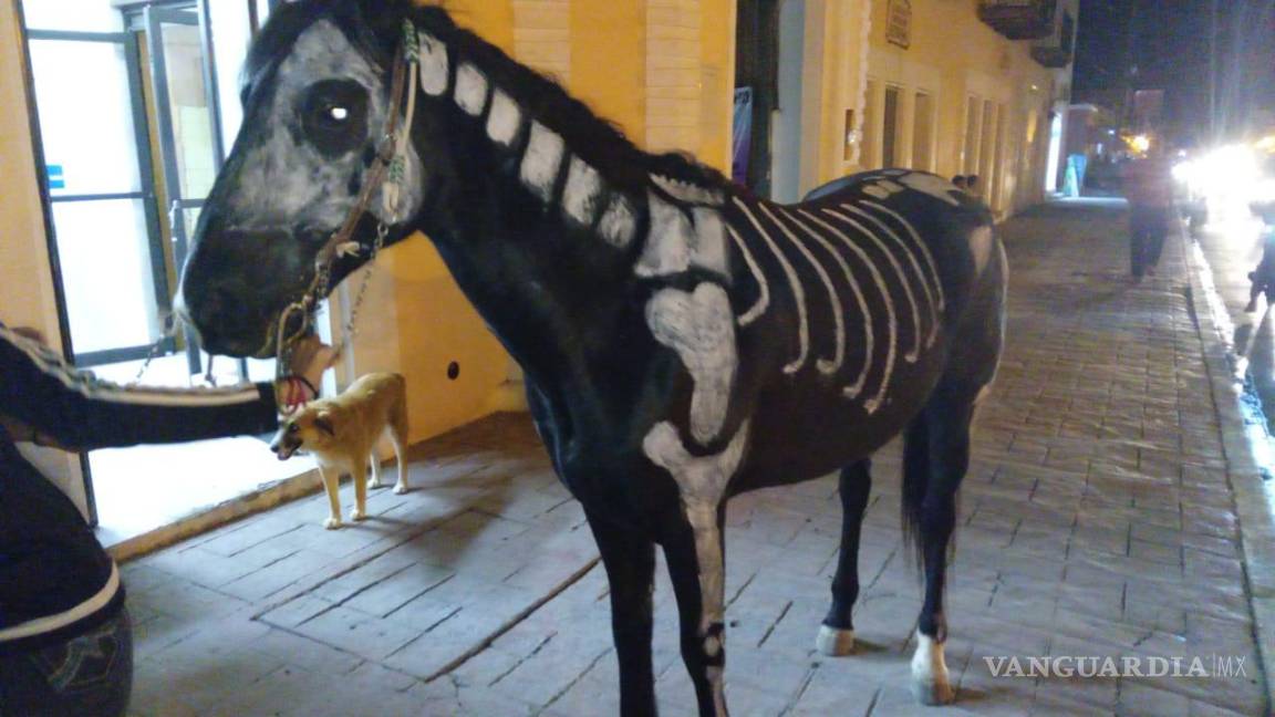 $!Un caballo disfrazado de esqueleto recorre las calles de Parras, sorprendiendo a los asistentes durante la celebración de Halloween.