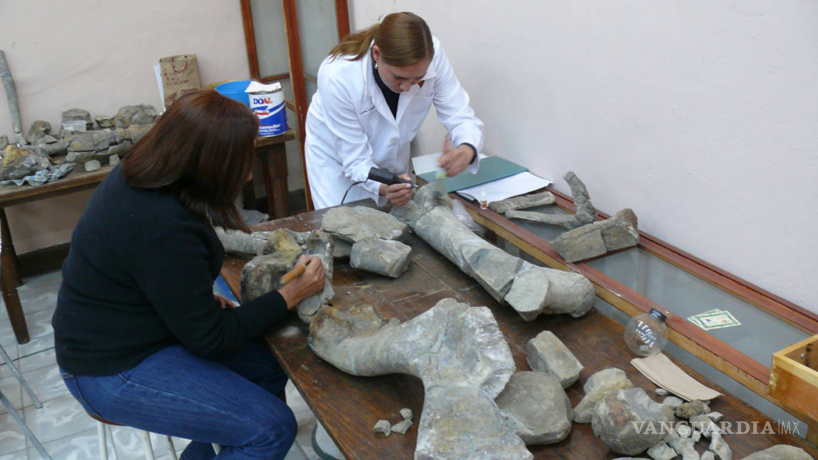 $!Inauguran el 21 de noviembre la Primera Zona Paleontológica de México en General Cepeda, Coahuila