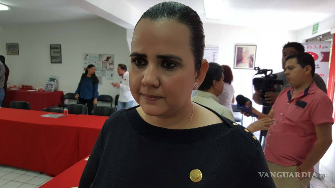 No a los decomisos de autos de procedencia extranjera: Diputada Guadalupe Oyervides
